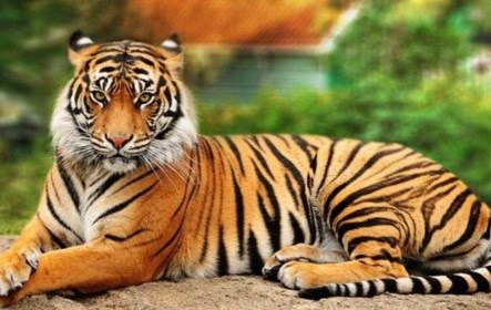 200912963-5298abff-635d-4407-bbe7-191e0c9c46a3