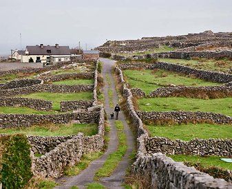 9496203a86c18a7d35afd473761d3b96